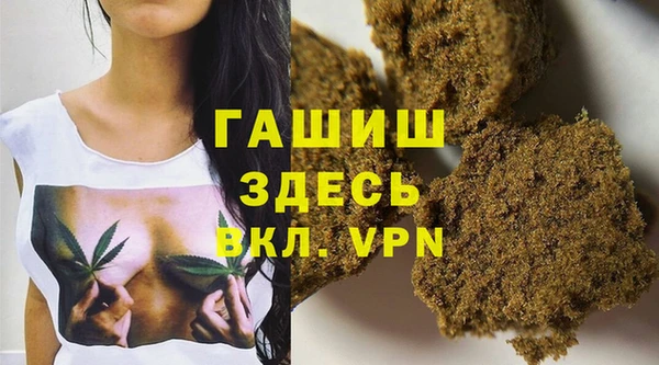 прущие грибы Беломорск