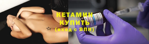 прущие грибы Беломорск