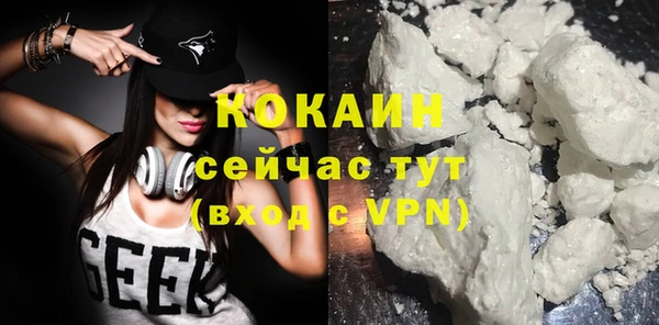 прущие грибы Беломорск