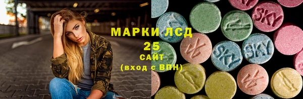 прущие грибы Беломорск