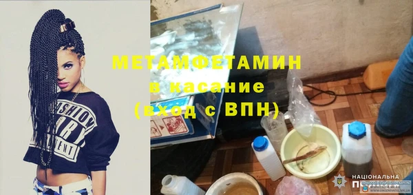 прущие грибы Беломорск