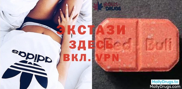 прущие грибы Беломорск