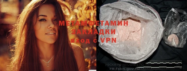 прущие грибы Беломорск