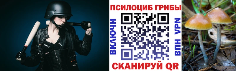kraken рабочий сайт  как найти закладки  Яровое  Галлюциногенные грибы мицелий 